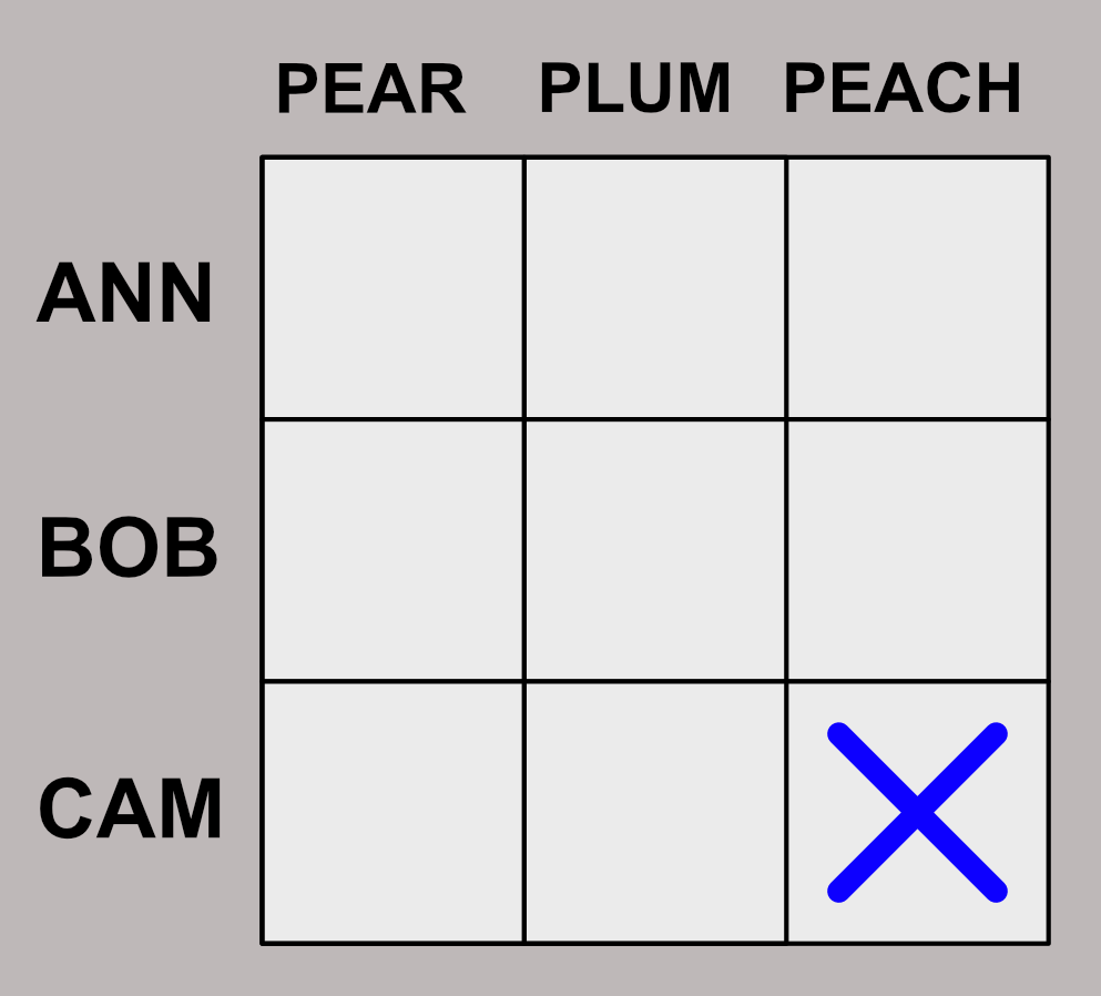 Logic matrix showing a direct clue marked with a cross