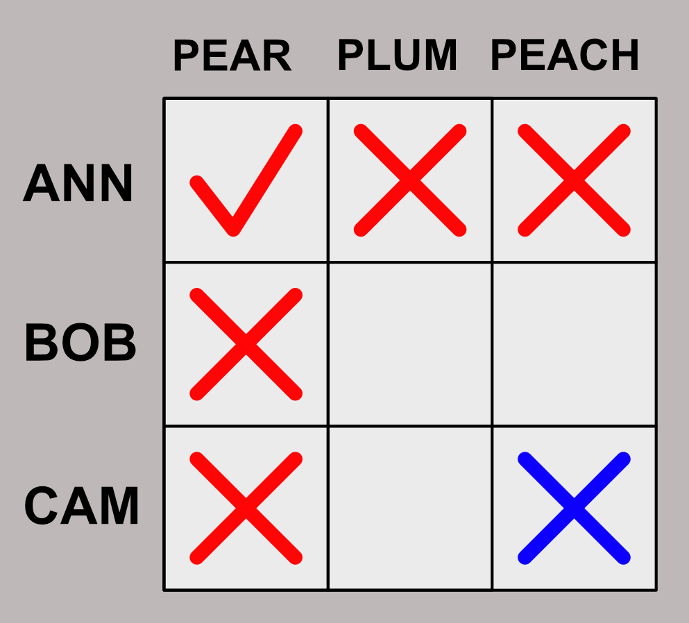 Logic matrix showing a positive match and its eliminations